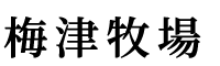 名称未設定-2
